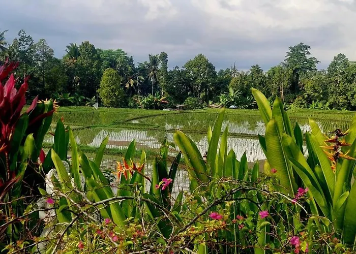 Taman Eden 4*