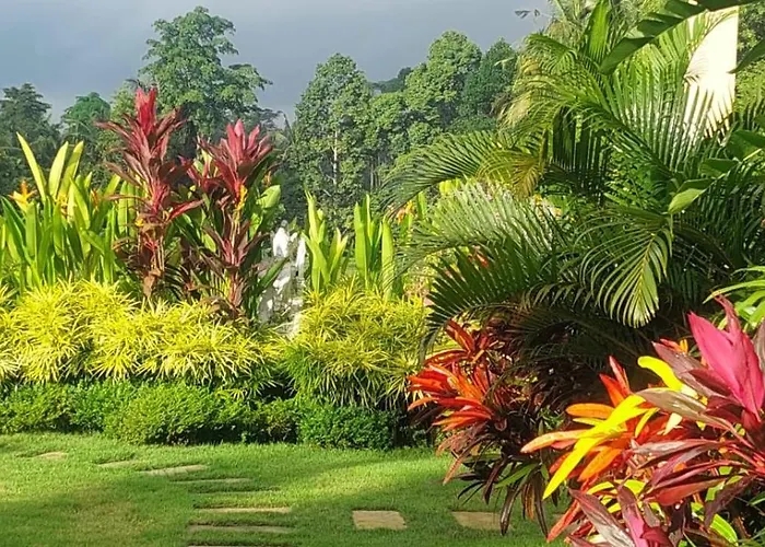 Taman Eden 4* ウブド